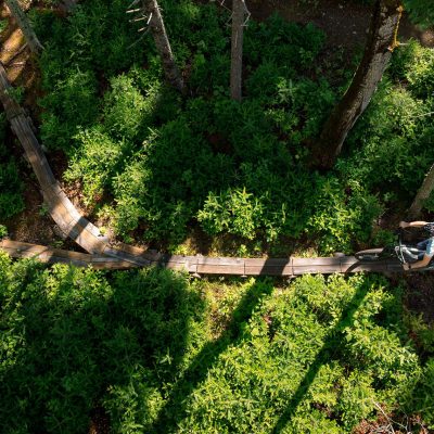 an overhead drone shot of a mountain biker riding along a trail.